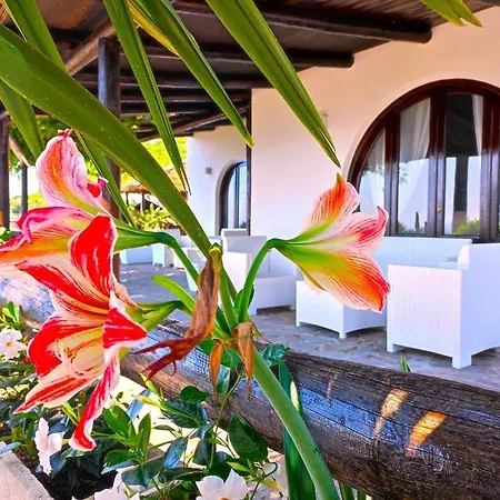 Terrazza Di Tifeo * Forio di Ischia